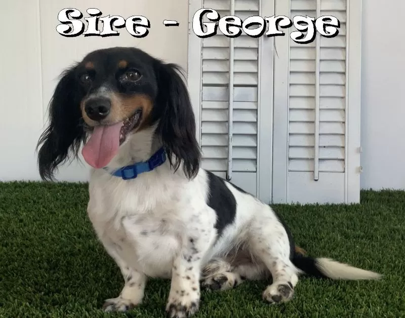 George